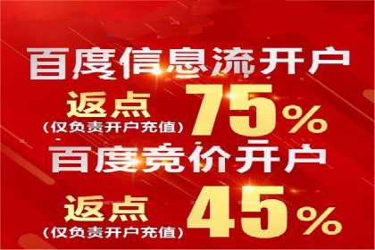 竞价托管sem的胜利果实：某零售商的营销策略